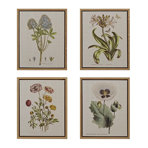 Martha Stewart Herbal Botany 4-piece Botanical Illustration Framed Canvas Wall Art Set in Green MT95C-0006