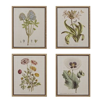 Madison Park Herbal Botany 4-piece Botanical Illustration Framed Canvas Wall Art Set in Green, Set of 4 MT95C-0006