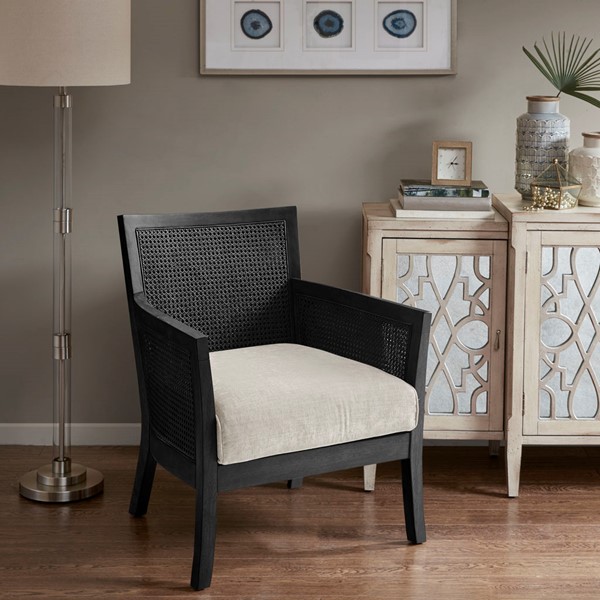 Madison Park Diedra Cane Armchair in Black, One Size MP100-1174