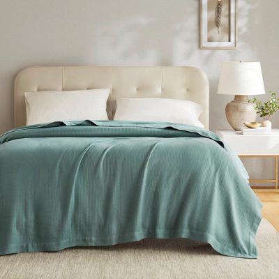 Madison Park 100% Certified Egyptian Cotton Blanket in Teal, Twin MP51N-6431