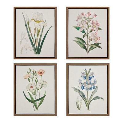 Madison Park Herbal Botany 4-piece Botanical Illustration Framed Canvas Wall Art Set in Green, Set of 4 MP95C-0365
