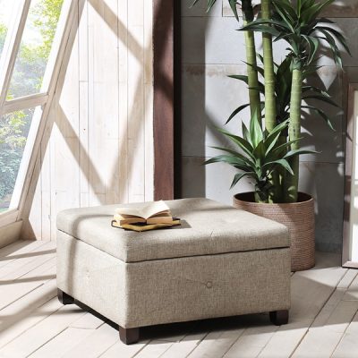 Madison Park Della Soft Close Storage Ottoman in Sand, One Size FPF18-0255