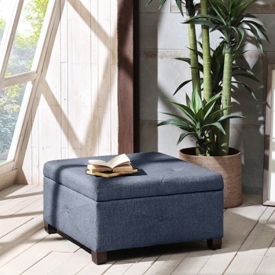 Madison Park Della Soft Close Storage Ottoman in Blue, One Size MP101-1002