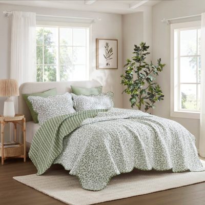 Madison Park Darcy 3 Piece Print Quilt Set in Sage Green, Full/Queen MP14-4433