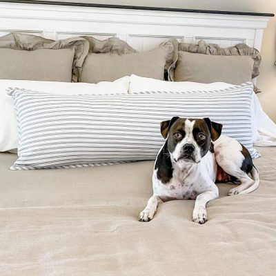 Timeless Ticking Gray Body Pillow Cover 54Lx20W